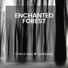 Ché La Seye + Coda Deep - Enchanted Forest (Diegho Remix)
