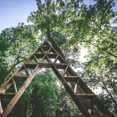 Noisily Festival, Sunday 9 July 2017