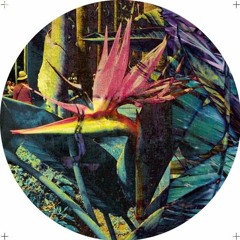Rico Casazza & Melanie Houston - Amphibian Twitch