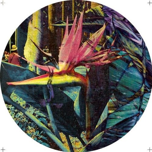 Rico Casazza & Melanie Houston - Amphibian Twitch