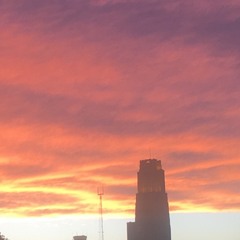 Bend Like Branches - Set Of Gifts _Final