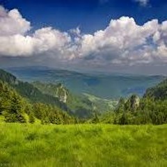 Aurel  Tamas - Cucule Pasare  Mandra -  .wmv