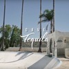 Dave Tequila Mp3