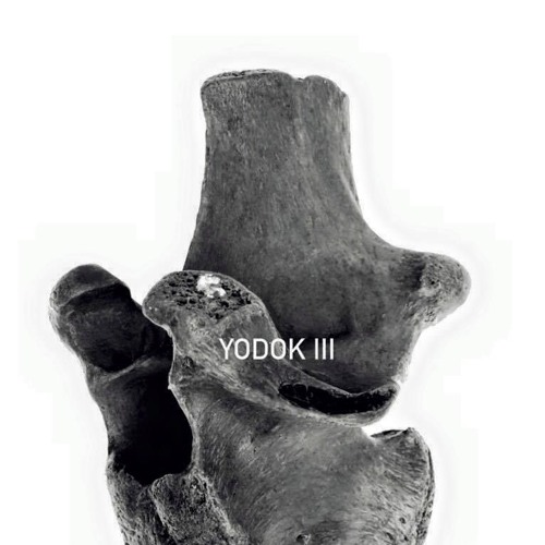 YODOKIII - In a Realm of Wander Behold the Fleeting Shadows Exclaim in Delight