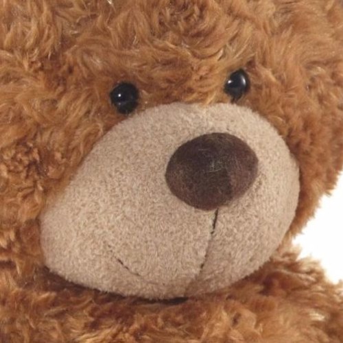 Stayns x Fayte - Teddy [FREE]