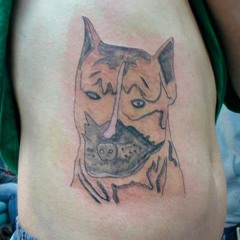 Expedientes Gatitos X  - Un Tatuaje para Olvidar