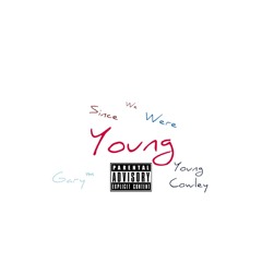 GARY X YOUNG COWLEY - SWWY