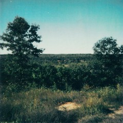 Apollo Vermouth - Reflections Of