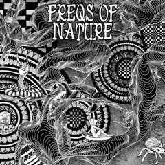 @Freqs of Nature 2017