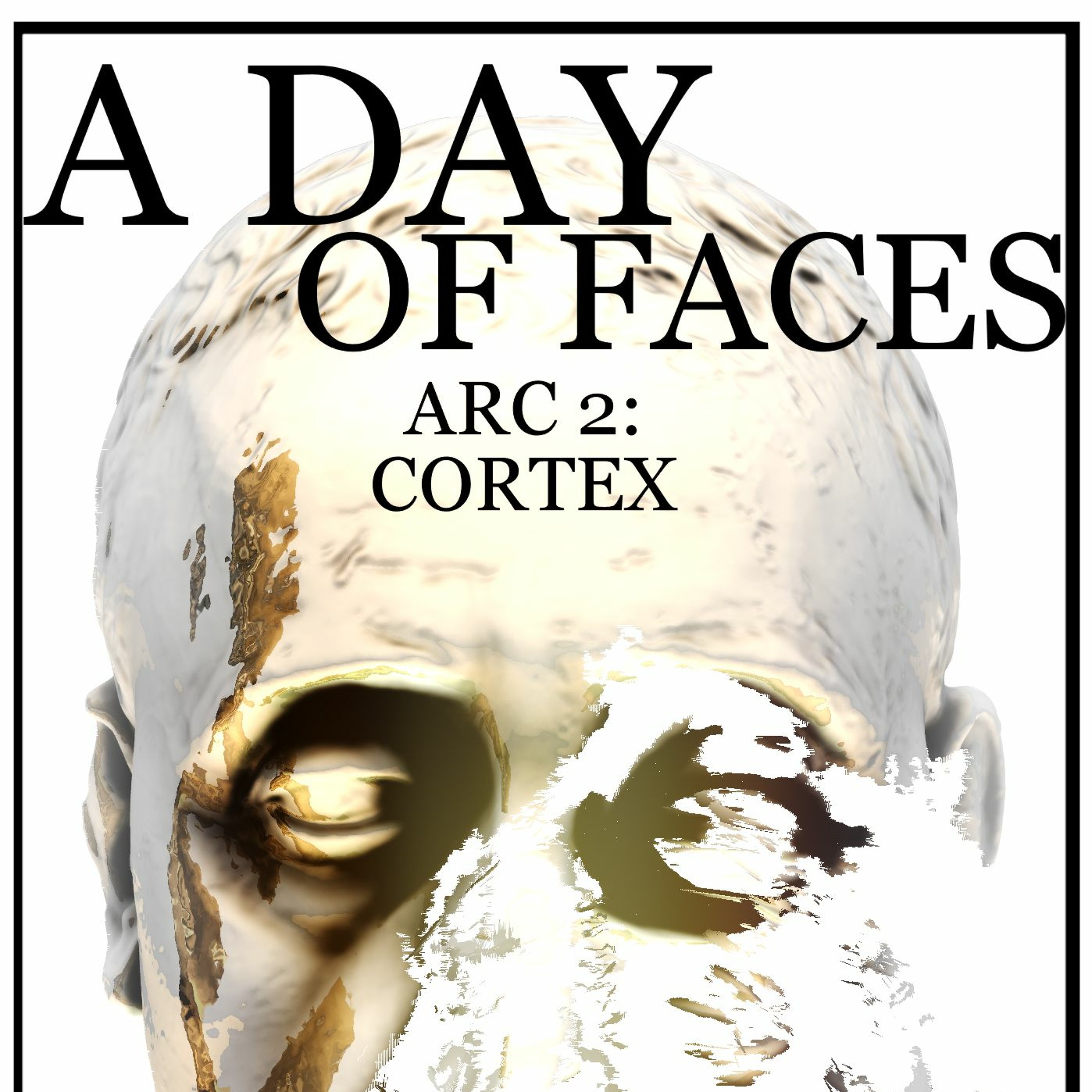 A Day of Faces audiobook