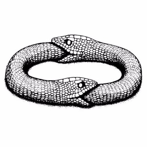Ouroboros