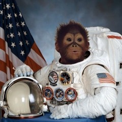 spacemonkey