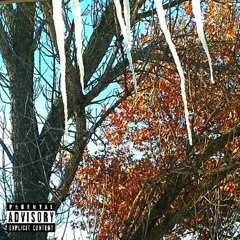 Memory Season 20