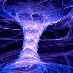 A Stable Self-Organized Vortex Rose Spontaneously Out Of The Turbulence