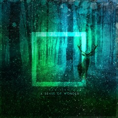 Dan Sieg - A Sense Of Wonder (Original Mix)