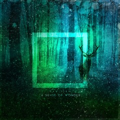 Dan Sieg - Secret Of The Forest (Original Mix)