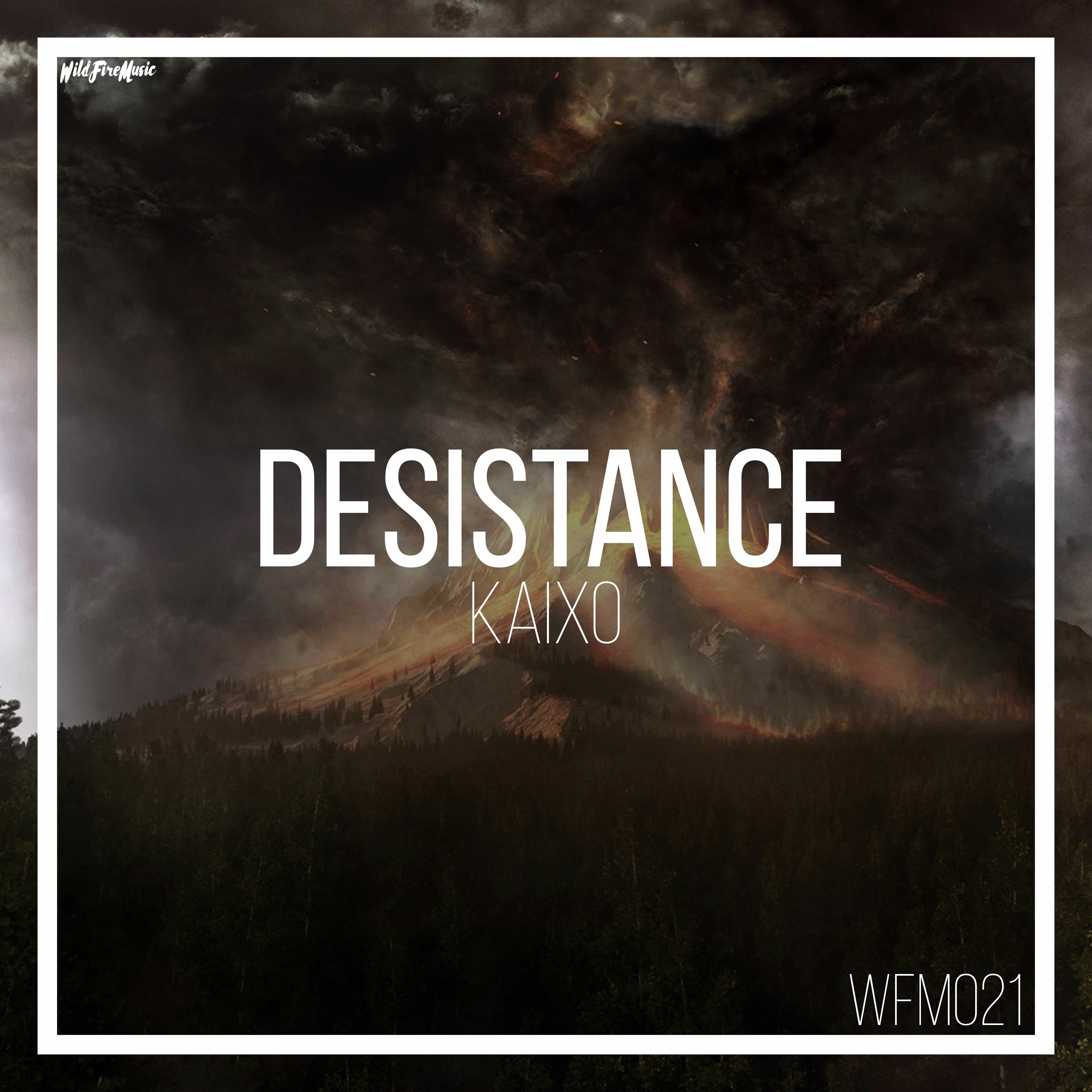WildFireMusicUs
