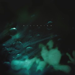 micronism - contemplating a quiet mind