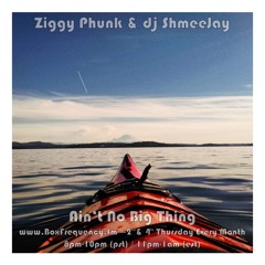 Ziggy Phunk & dj ShmeeJay - Ain't No Big Thing - 2017-07-13