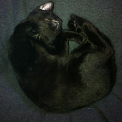 iceberg waltz (Feat. nightman)