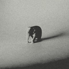 Elephant EP - MoonDoctoR & Orión García