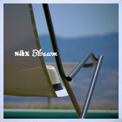 Blossom (Original Mix)