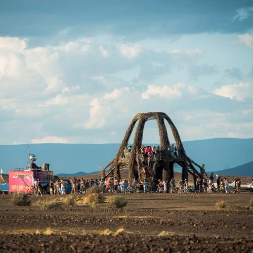 AMARE at RaveRover artcar Afrikaburn 2017