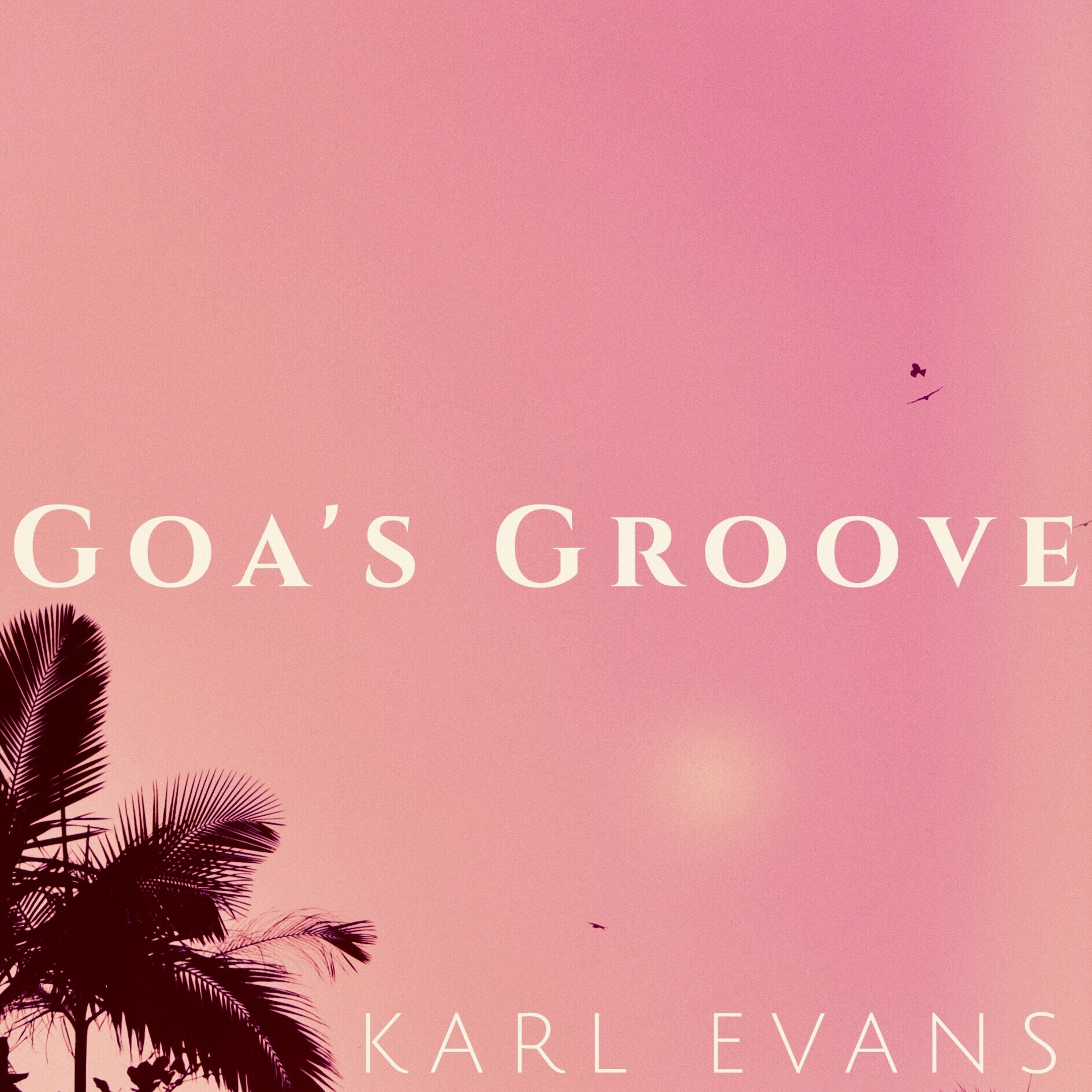 Karl Evans