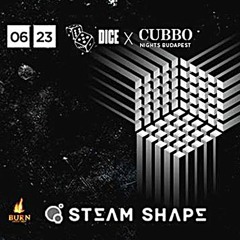 Steam Shape @ Dice & Cubbo Night w/ Spartaque, Corvin, Budapest 23 June 2017