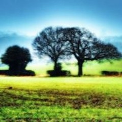 Park Theme [Free Download}