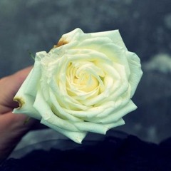Quillava - White Roses (Vocal Mix)