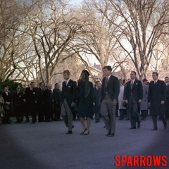 The Broadest Blue - Sparrows