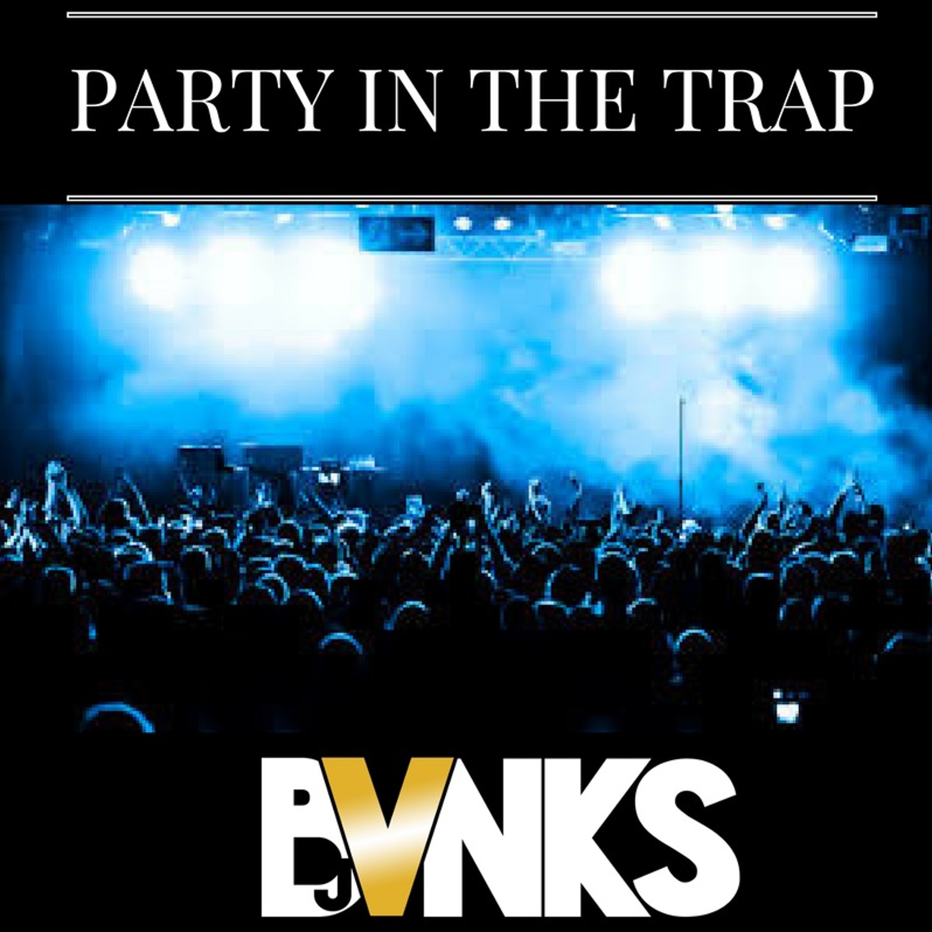 DJ BVNKS