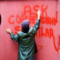 Hasan Hüseyin Demirel - Kurbağalar