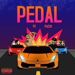 Pedal- YC x Pachi (SS808BEATZ)
