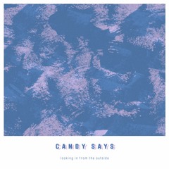 Looking In From The Outside