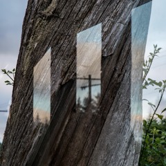 Let It Go (Live Cover)