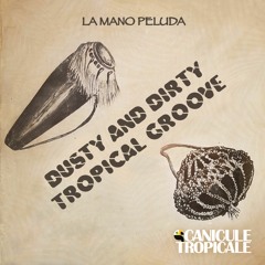 Dusty And Dirty Tropical Groove