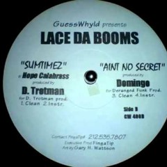 Lace Da Booms - Sumtimez (D. Trotman Instrumental) (1997)