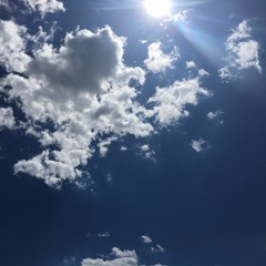 Sunshine Divine: Friendly Fridays: 7.14.17