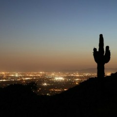 Summer Nights in the Zone