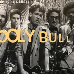 Wooly Bully (1982, Perf./Arr. by Reeves Nevo & The Cinch in the movie Fast Times at Ridgemont High)