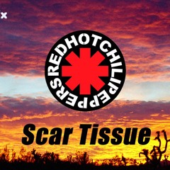 Scar Tissue - J&M REMIX