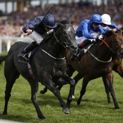 Super Stupid Saturday