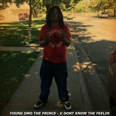 YOUNG DMO THE PRINCE - U Dont Know The Feeling