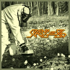 The Land by Spring of 86 (TheDecibelMan Mix & Mastering)