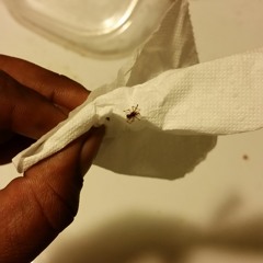 Thrown 2Gether by Kane Boy and Nig Dank