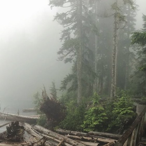 Guard Me Like the Pupil of Your Eye (Psa 17:8, 5-6)