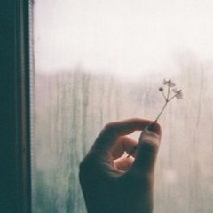 bir özlemin izdüşümü