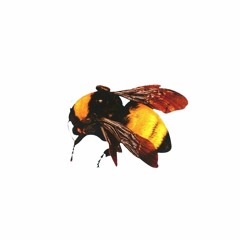 Tyler, The Creator - Who Dat Boy (Belak Remix)